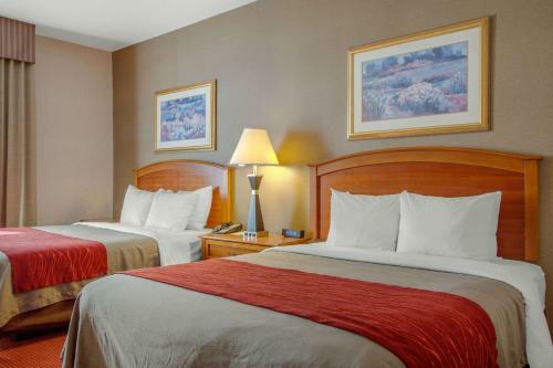 Hotel Comfort Inn & Suites Truth Or Consequences