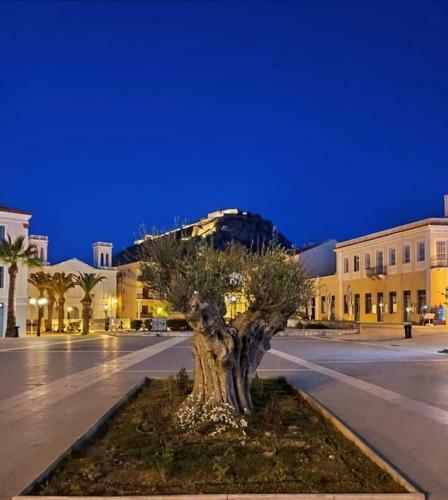 Apartamento Plaza Filellinon