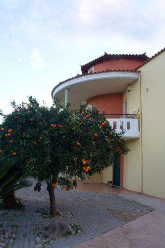 Apartamento Iro's House