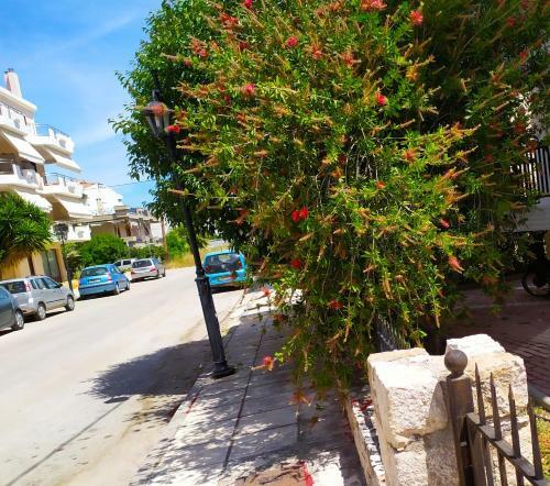 Nafplio City Apartments