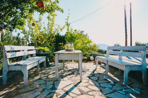 Villa Oneirama