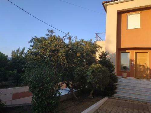 Unique Villa In An Orange Grove