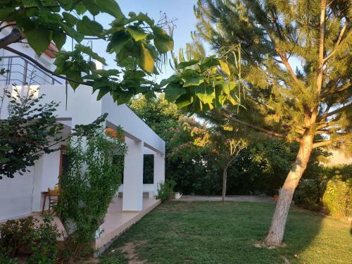 Unique Villa In An Orange Grove