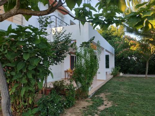 Unique Villa In An Orange Grove