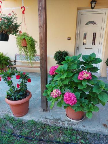 Apartamento Kerkis View Houses