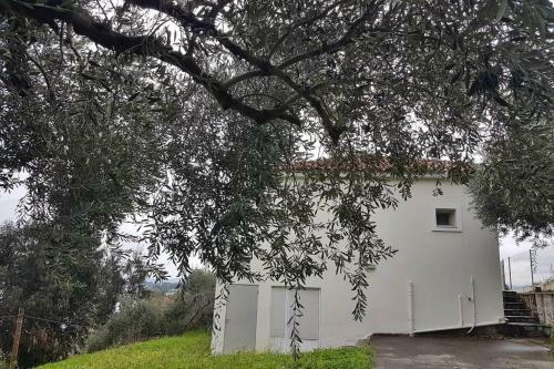 Amazing Sea View-neos Pyrgos Beach -evoia Greece