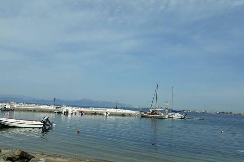Amazing Sea View-neos Pyrgos Beach -evoia Greece