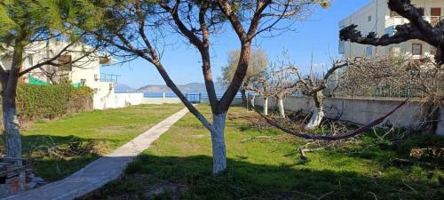 Villamare