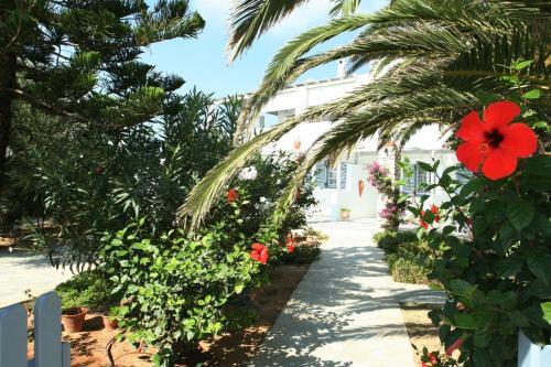 Apartamento Villa Viglakia