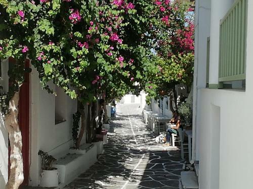 Apartamento Sunloft-paros