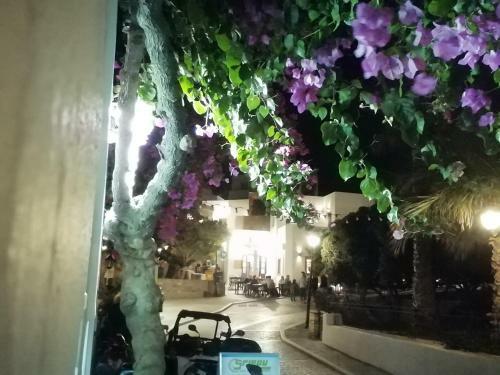 Apartamento Sunloft-paros