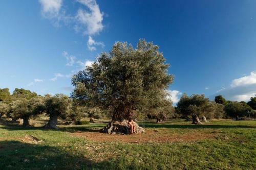 Kouvelia Country Home Luxury Villa Rental