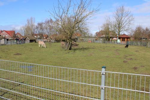 Apartamento Muschel