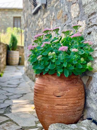 Stone-built Traditional House "snow White"