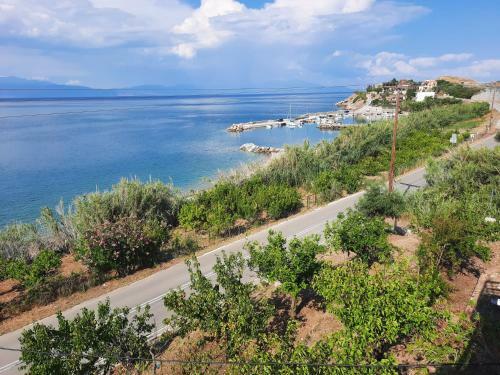 Surrounded By Lemon Trees Seafront Villa