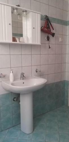 Apartamento Cactus
