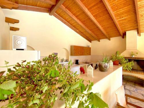 Villa Aliki Nissaki With Private Pool