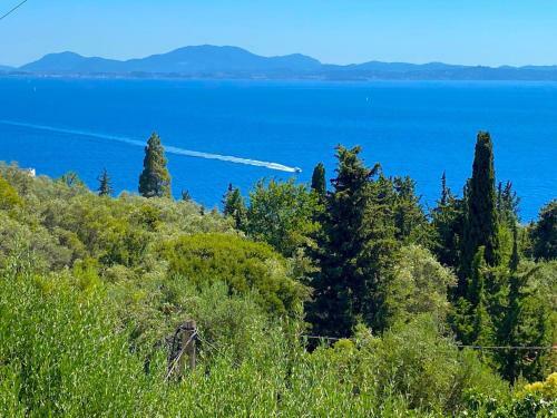 Villa Aliki Nissaki With Private Pool