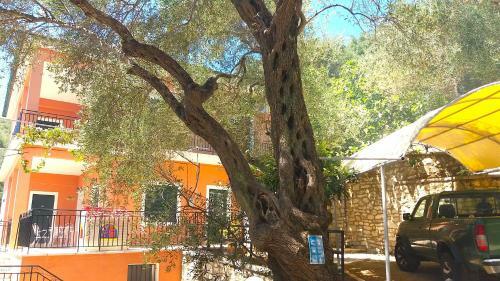 Apartamento Amalia Complex