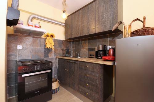 Viki Nissaki Apartment