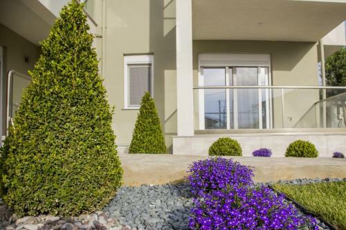 Apartamento Armonia Resort