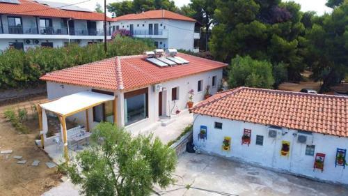 Pefkonas Apartments2 100 M From The Beach