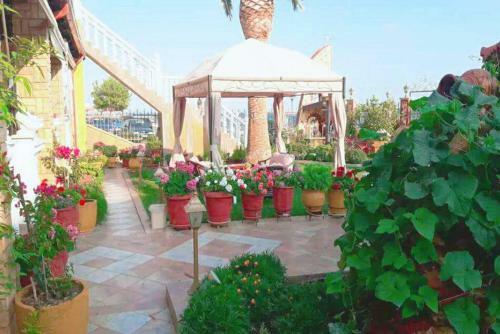 Apartamento Palm Garden Villa
