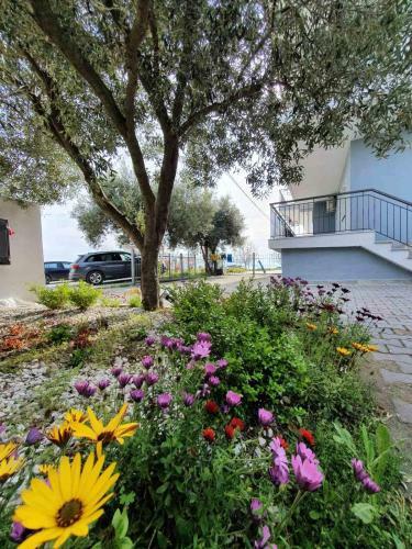 Apartamento Dream Suites