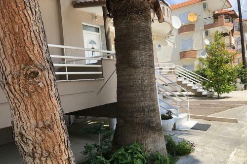 Hotel Tree Of Life Resort