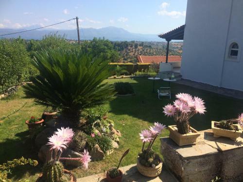 The Adam's Studio In Oropos