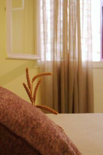 Alegria Apartment