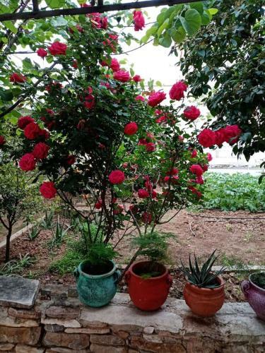 Apartment In Peania (15min From Airport)