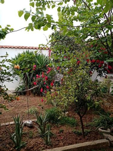 Apartment In Peania (15min From Airport)