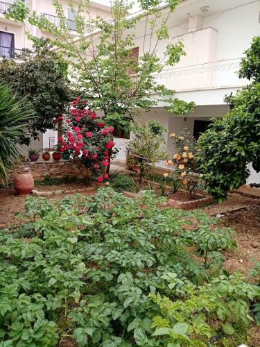 Apartment In Peania (15min From Airport)