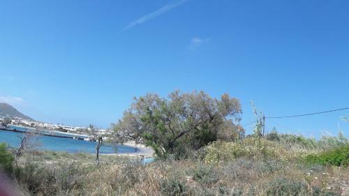 Hostal Chez Irene Sweet Pension
