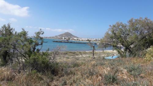 Hostal Chez Irene Sweet Pension