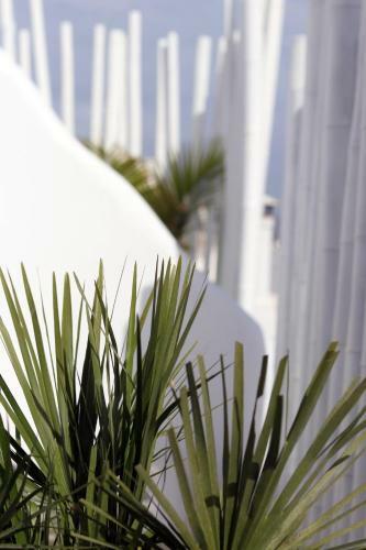 Villa Narcissus Luxury Suites