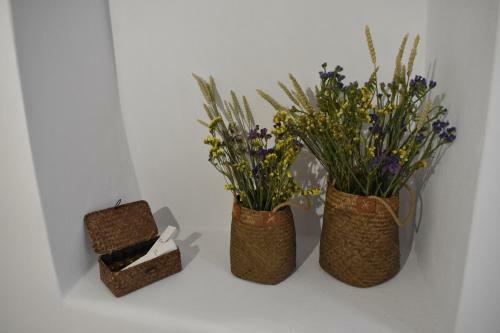Apartamento Naxian Castillo