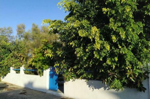 Apartamento Beach Cottage Flisvos ,st.george