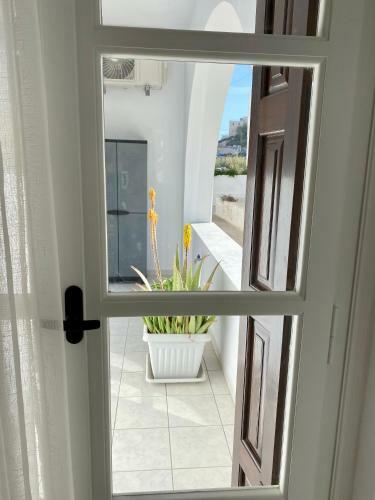 Apartamento Porta Home Modern And Hospitable