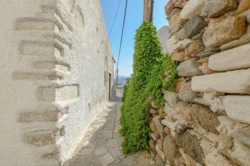 Traditional Castle House II
