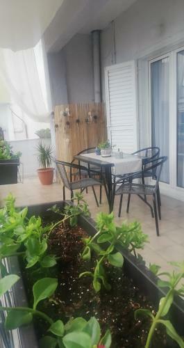 Apartamento Fillitsa's Sweet Home