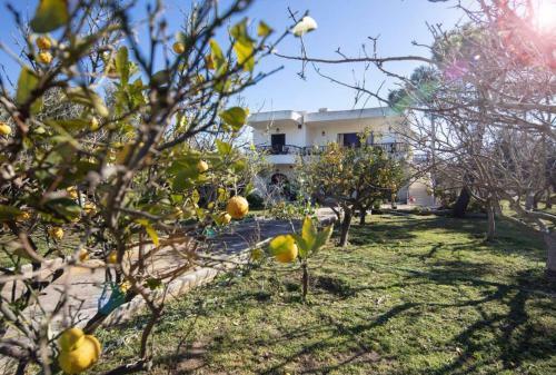 Villa Family And Friendly Home.