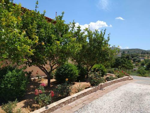 Villa Vena