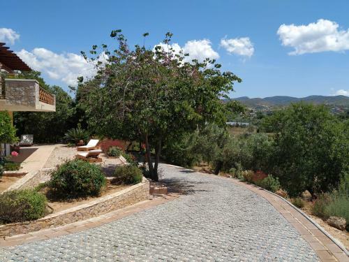 Villa Vena