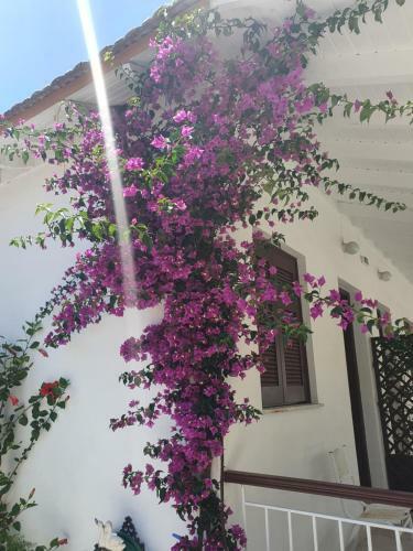 Apartamento Daglas Seaside Studios