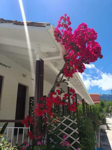 Apartamento Daglas Seaside Studios