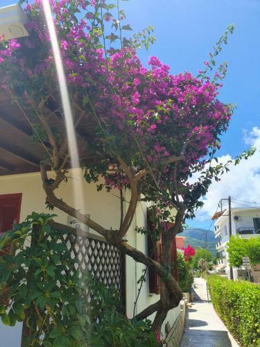 Daglas Beach House At Nidri