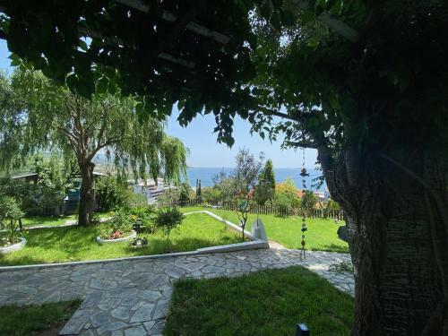 Dream Hill Athos