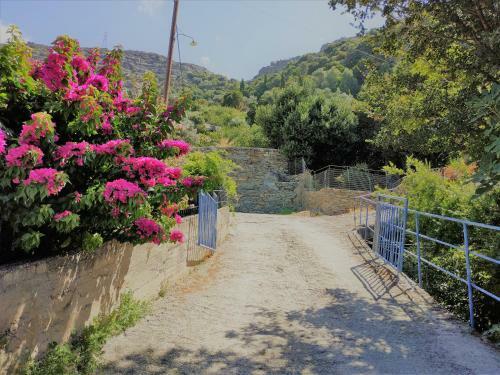 Apartamento Palaiopoli View Studio